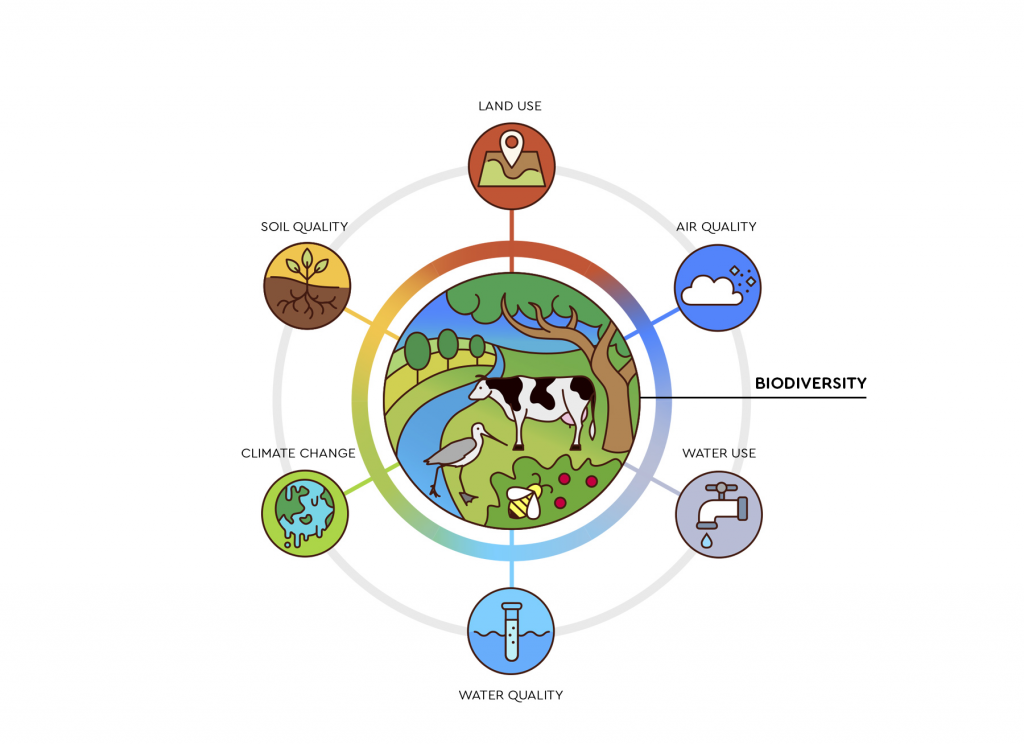 Our 360° Model Of Environmental Sustainability – De Natuurverdubbelaars